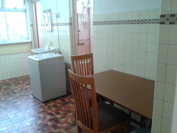 Blk 8 Holland Avenue (Queenstown), HDB 3 Rooms #163218632